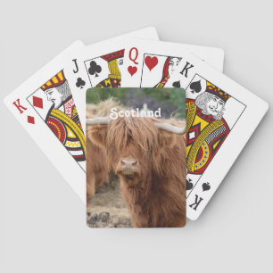 Jeu De Cartes Highland Cow
