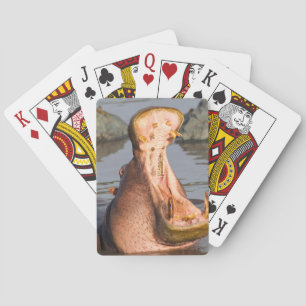 Jeu De Cartes Hippopotame bâillant, Tanzanie