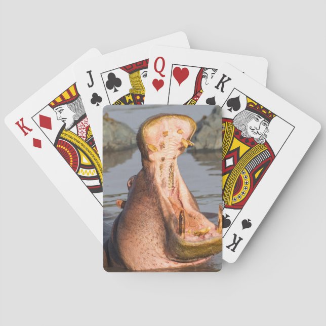 Jeu De Cartes Hippopotame bâillant, Tanzanie (dos)