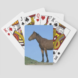 Jeu De Cartes Horse sauvage