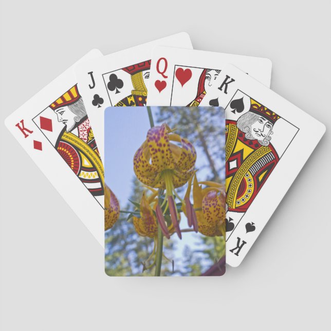 Jeu De Cartes Humboldt Lily (dos)