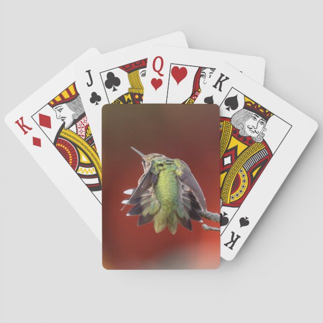 Jeu De Cartes Hummingbird Shuffle (dos)