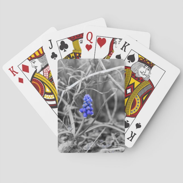 Jeu De Cartes Hyacinthe au raisin isolé Sélectionner la couleur (dos)