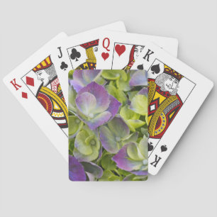 Jeu De Cartes Hydrangea du jardin de Keukenhof
