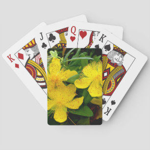 Jeu De Cartes Hypericum calycinum