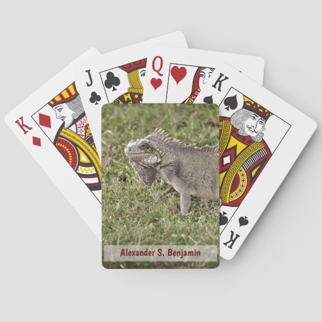 Jeu De Cartes Iguana Lizzard Animal de compagnie Nature Personna (dos)