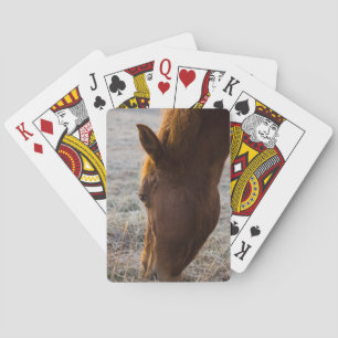 Jeu De Cartes Il Est Temps De Manger