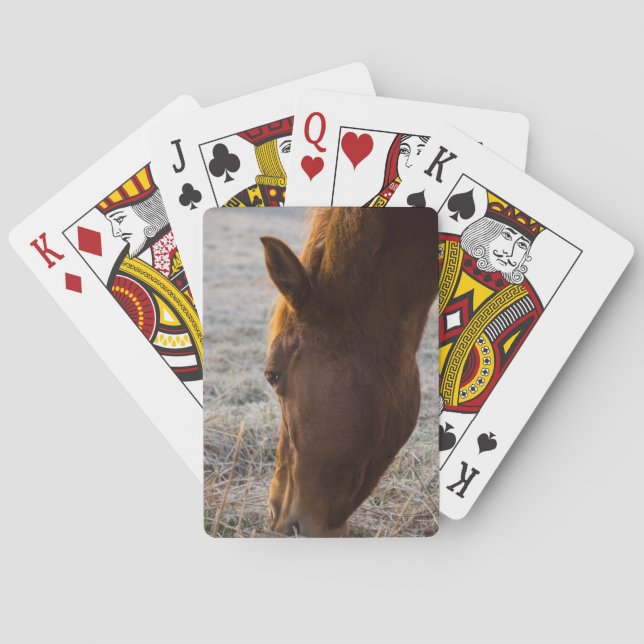 Jeu De Cartes Il Est Temps De Manger (dos)