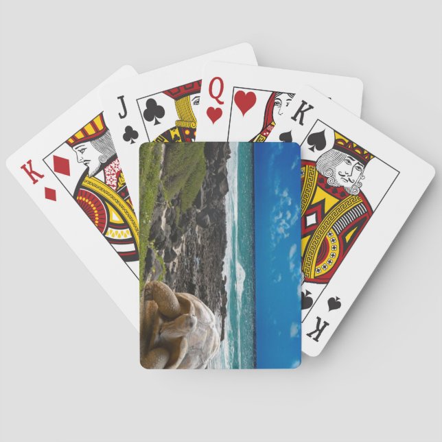 Jeu De Cartes Îles Galapagos, Équateur (dos)