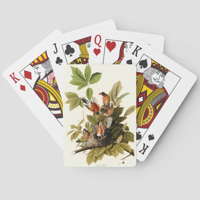 Jeu De Cartes Illustration Audubon American Robin Wildlife Bird (dos)