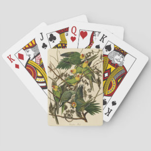 Jeu De Cartes Illustration Audubon Carolina Parrot Bird