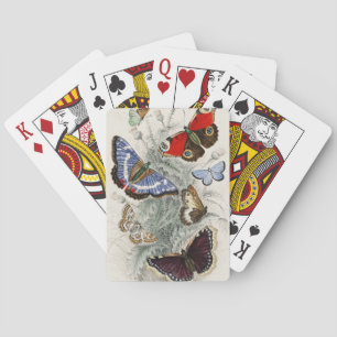 Jeu De Cartes Illustration botanique scientifique vintage papill