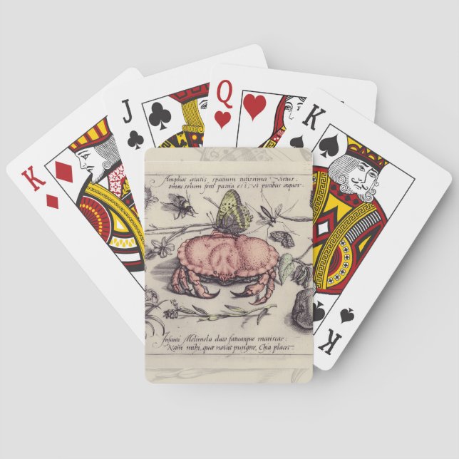 Jeu De Cartes Illustration de fleur d'insecte botanique de crabe (dos)