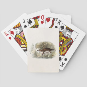 Jeu De Cartes Illustration vintage de la plate-forme Duck Bill d