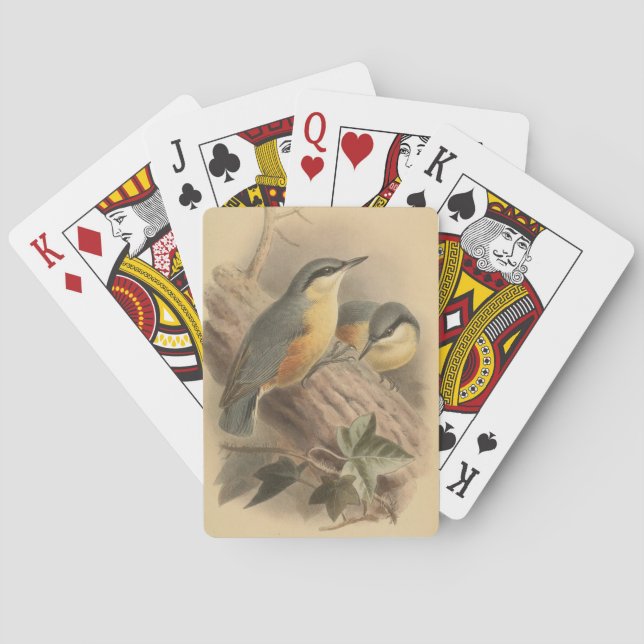 Jeu De Cartes Illustration vintage de Nuthatch (dos)