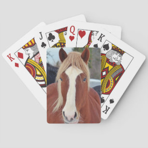 Jeu De Cartes Image des chevaux - un cheval avec la belle