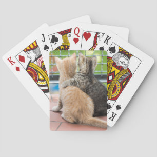 Jeu De Cartes Images de Getty deux chatons sur un balcon