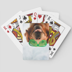 Jeu De Cartes Images Getty Chien avec lunettes