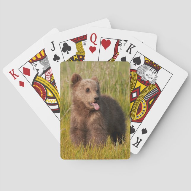 Jeu De Cartes Images Getty | Drôle bébé ours (dos)