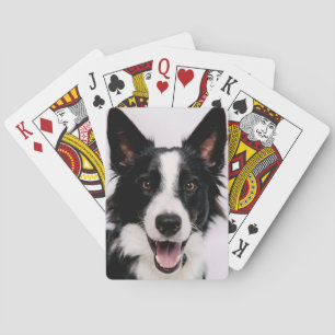 Jeu De Cartes Images Getty   Une Collie frontalière souriante