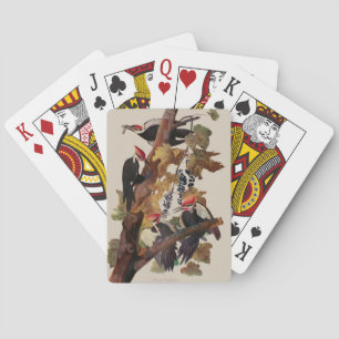 Jeu De Cartes Impression d'oiseau Pic à tête rouge de John James