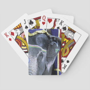 Jeu De Cartes Inde, Rajasthan, Jaipur. Fort d'Amber.