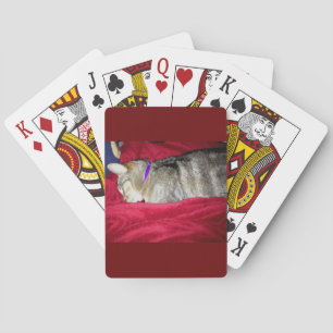 Jeu De Cartes Indigo abandonné