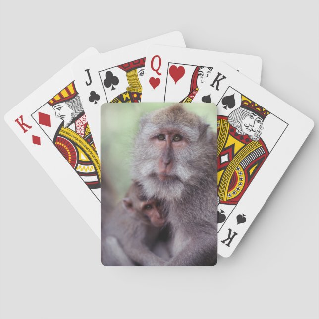 Jeu De Cartes Indonésie, Bali, Ubud, Macaque à longue queue (dos)