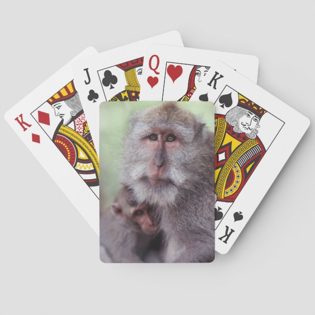 Jeu De Cartes Indonésie, Bali, Ubud, Macaque à longue queue (dos)