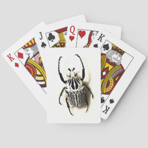 Jeu De Cartes Insect card deck