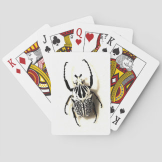 Jeu De Cartes Insect card deck