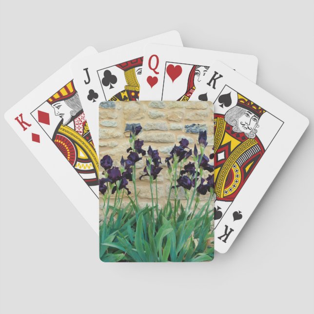 Jeu De Cartes Iris à poils (dos)