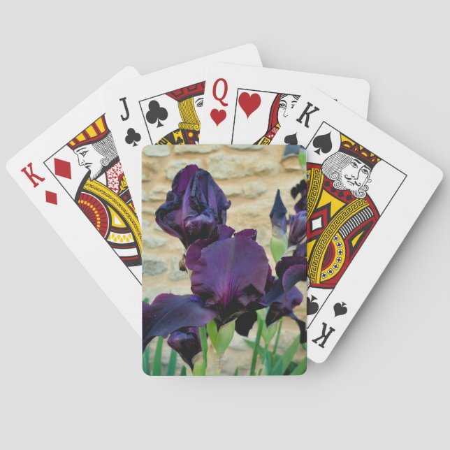 Jeu De Cartes Iris à poils (dos)