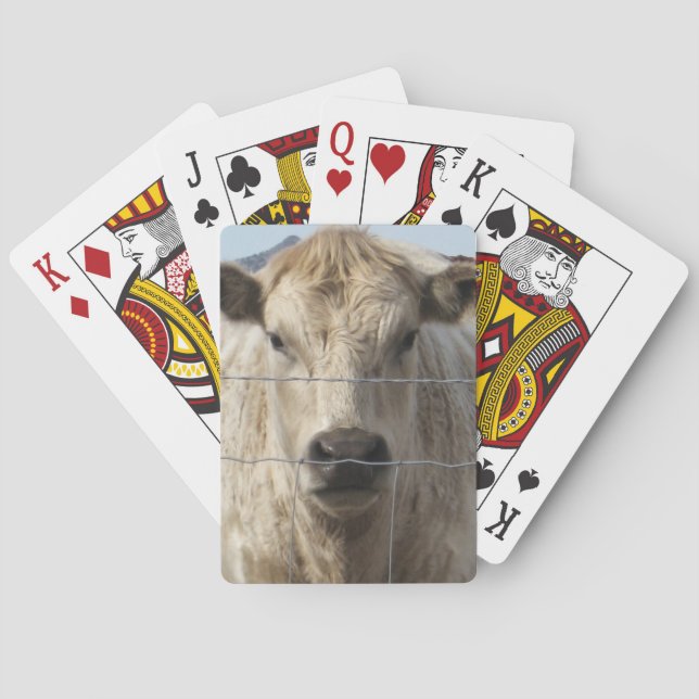 Jeu De Cartes It's a Roundup Cattle Charolais Face Western (dos)