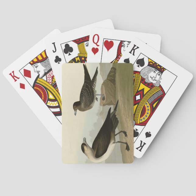 Jeu De Cartes Jager de Richardson de Audubon's Birds of America (dos)