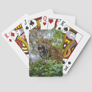 Jeu De Cartes Jaguar Growl