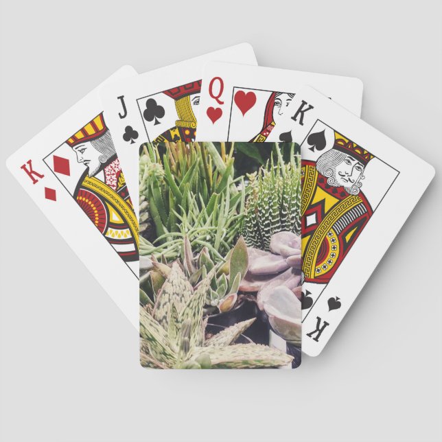 Jeu De Cartes Jardin de Cactus (dos)
