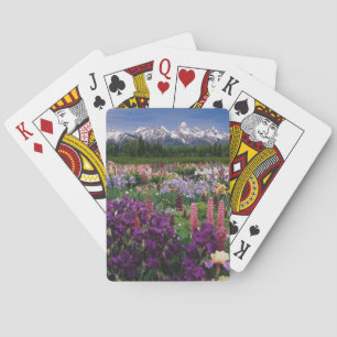 Jeu De Cartes Jardin d'Iris et de Lupin et chaîne Teton,