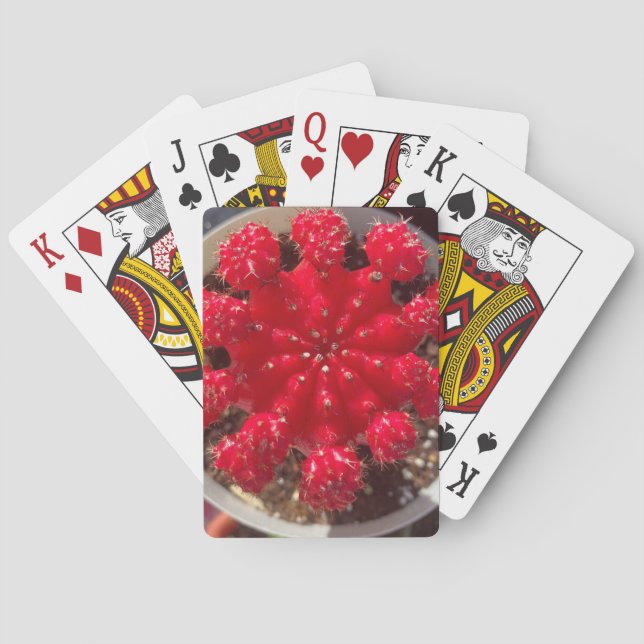 Jeu De Cartes Jardin haut de Fleur de Cactus Rouge (dos)