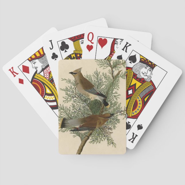 Jeu De Cartes Jaseur cèdre d'Audubon (dos)
