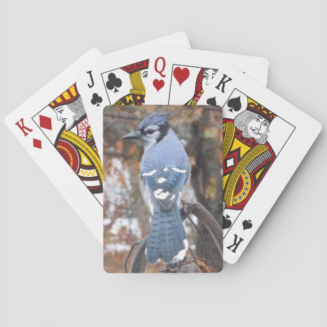 Jeu De Cartes Jay Bleu (dos)
