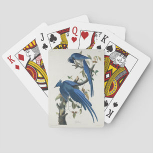 Jeu De Cartes Jay noir à pâte molle à tarte noire Audubon Columb