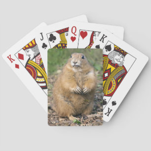 Jeu De Cartes Je ne suis pas gros, je suis mou à jouer aux carte