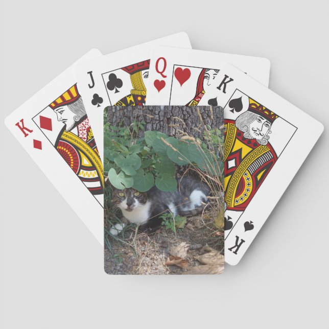 Jeu De Cartes Je suis le chat invisible (dos)