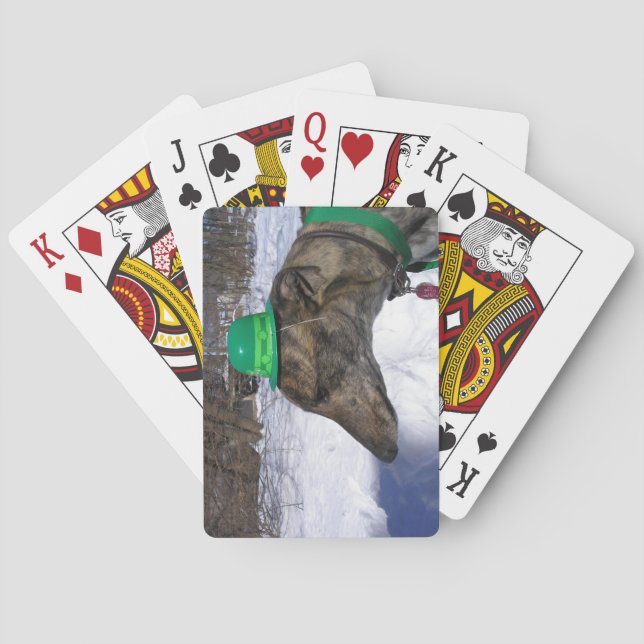 Jeu De Cartes Je vais te faire courir !" (dos)