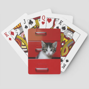 Jeu De Cartes Jeter un coup d'oeil de chaton