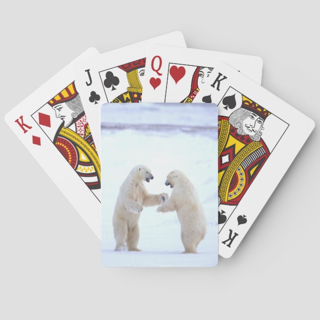 Jeu De Cartes Jeu d'ours polaire (dos)