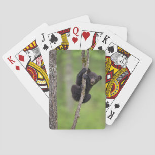 Jeu De Cartes Jeune ours noir jouant, Tennessee