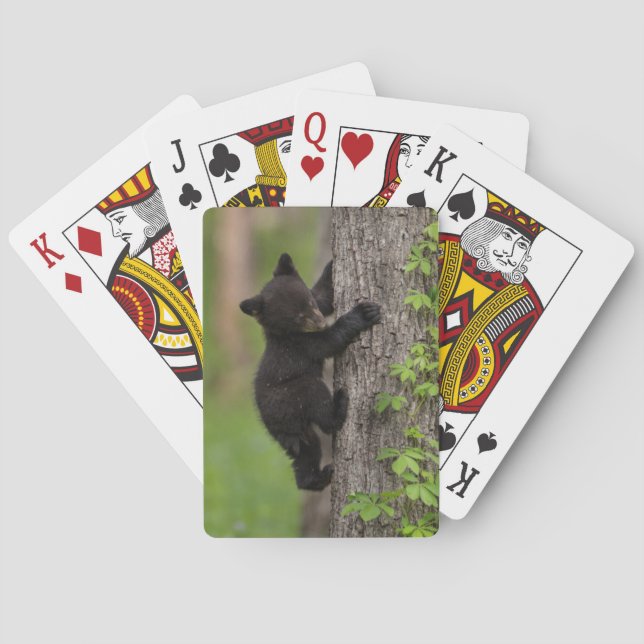Jeu De Cartes Jeune ourson noir grimpant à un arbre (dos)
