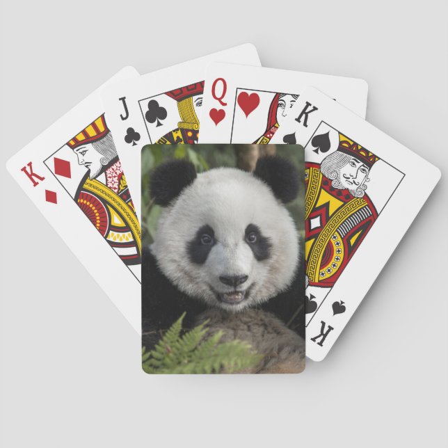 Jeu De Cartes Jeune panda heureux, Chine (dos)